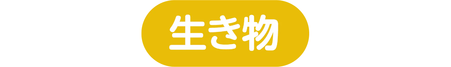 生き物の見出し