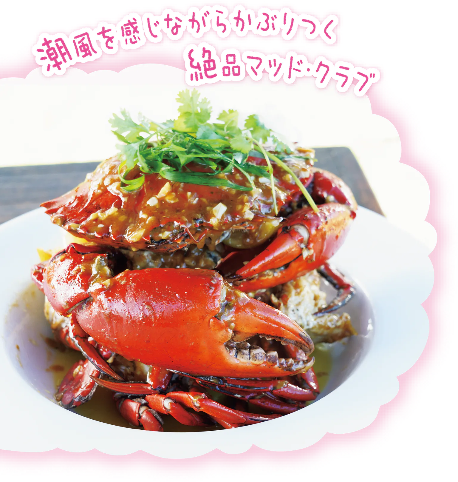 マッド・クラブの画像