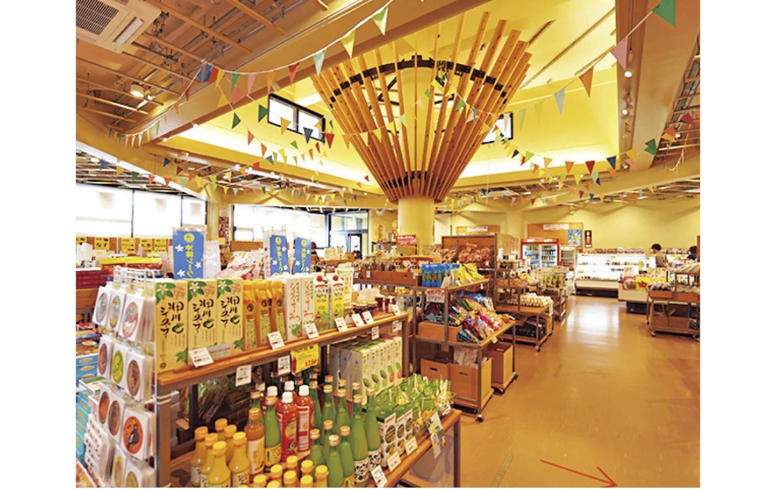 道の駅おおぎみ（やんばるの森ビジターセンター）のがじゅまる館の画像