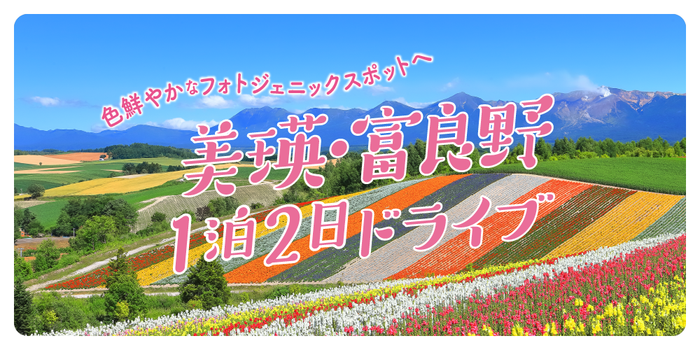☆美瑛・富田ファームの花畑・肉筆油彩画・F6キャンバス ☆美瑛・富田