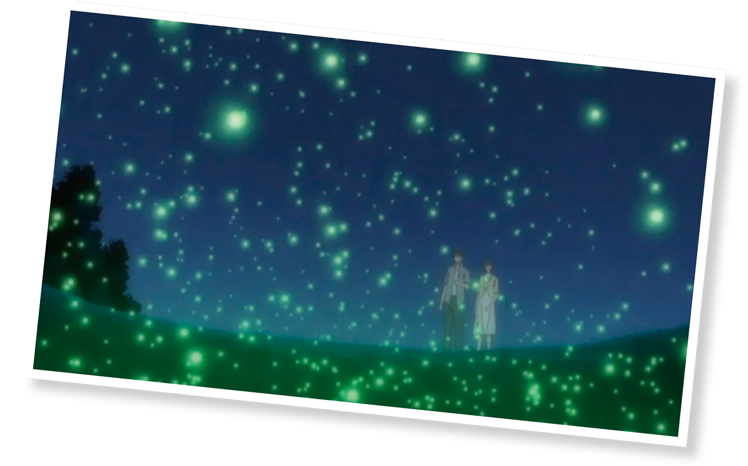 夜空に舞う蛍の画像