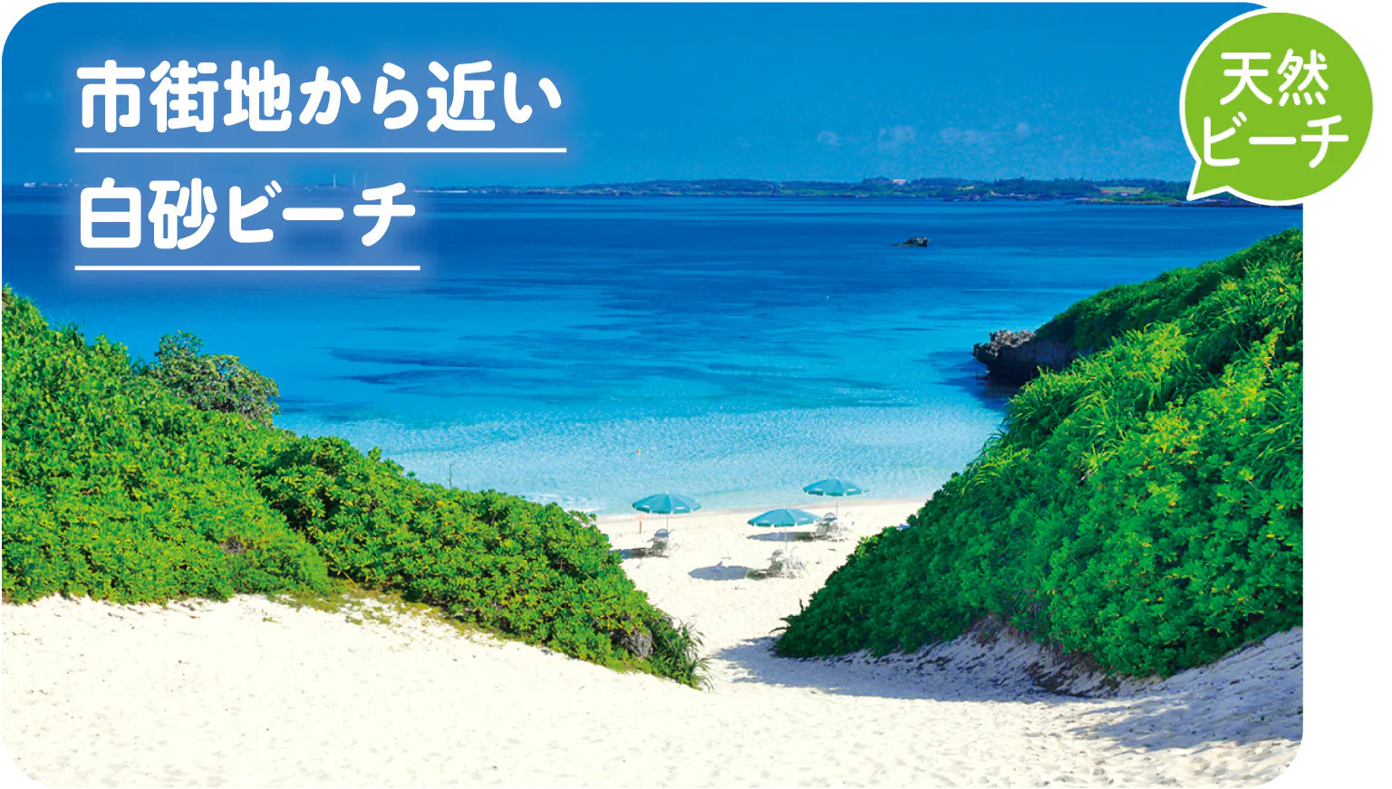砂山の画像