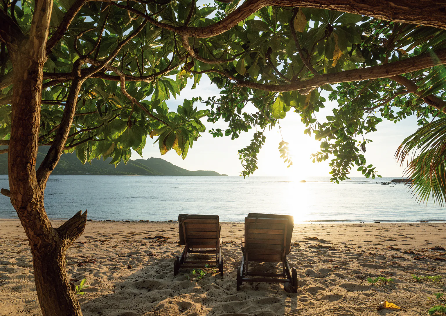 ビーチサイドの画像