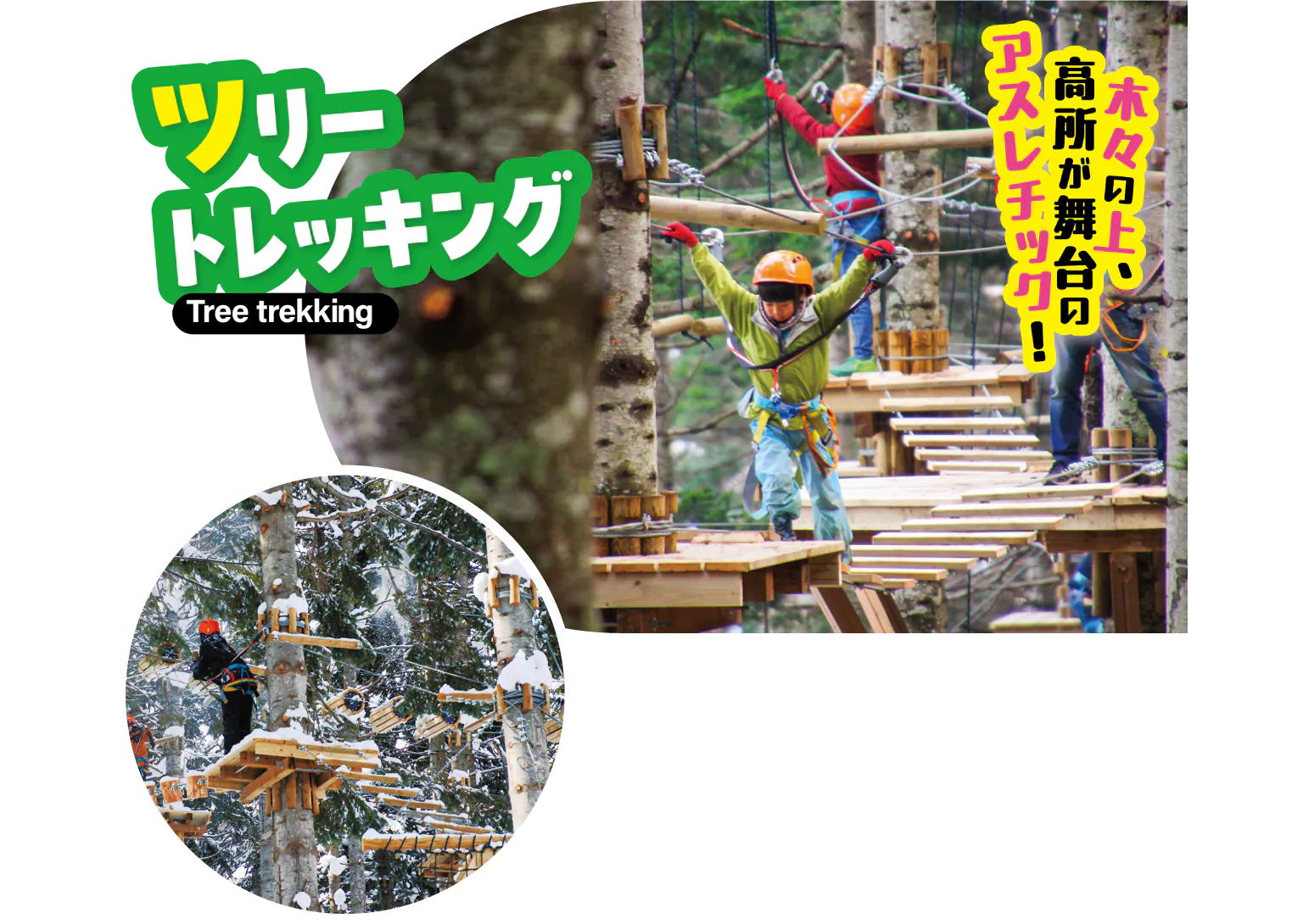 アドベンチャーパークの画像