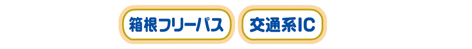 箱根フリーパス交通系ICの画像