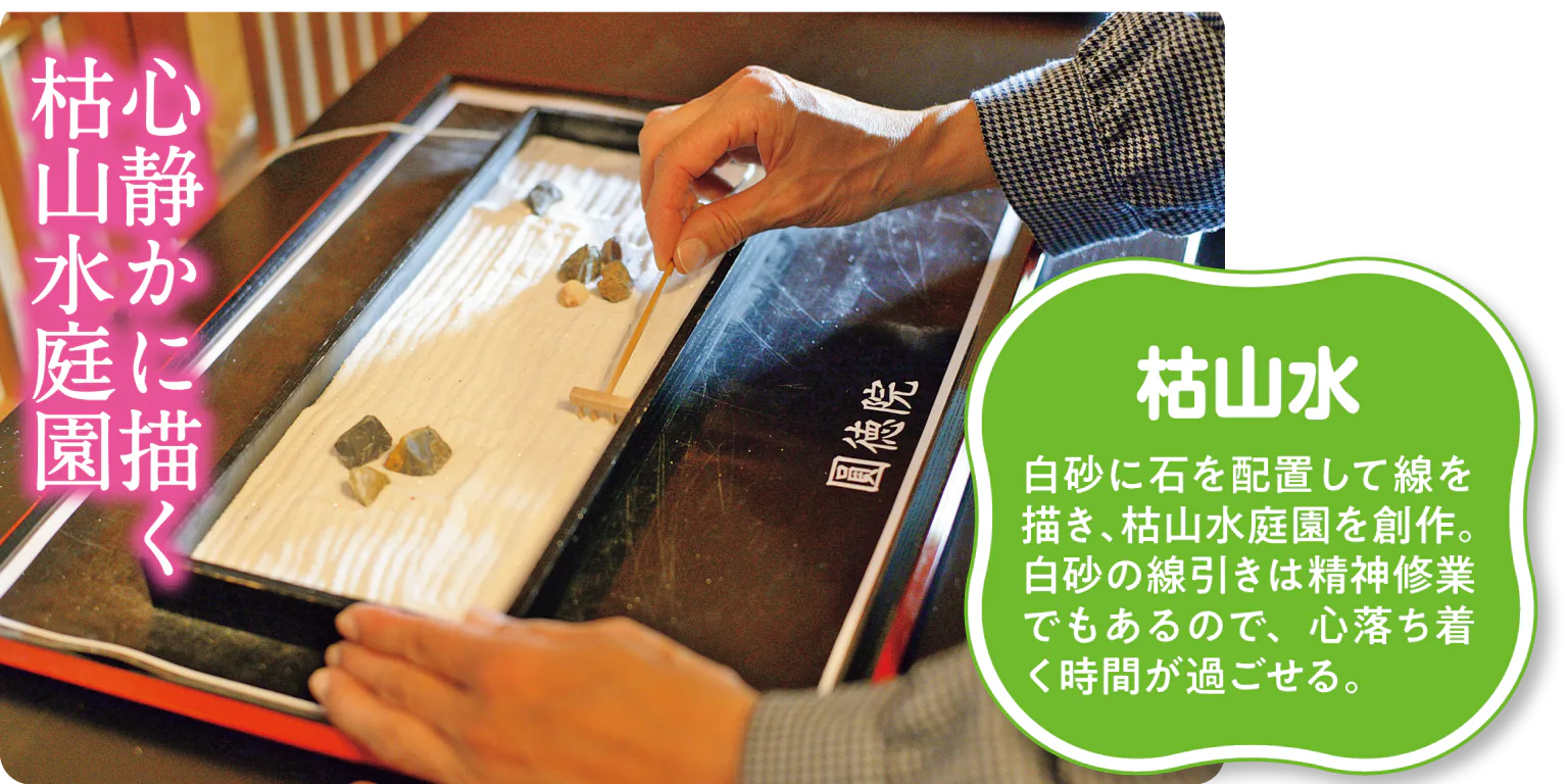 圓徳院の枯山水体験の画像