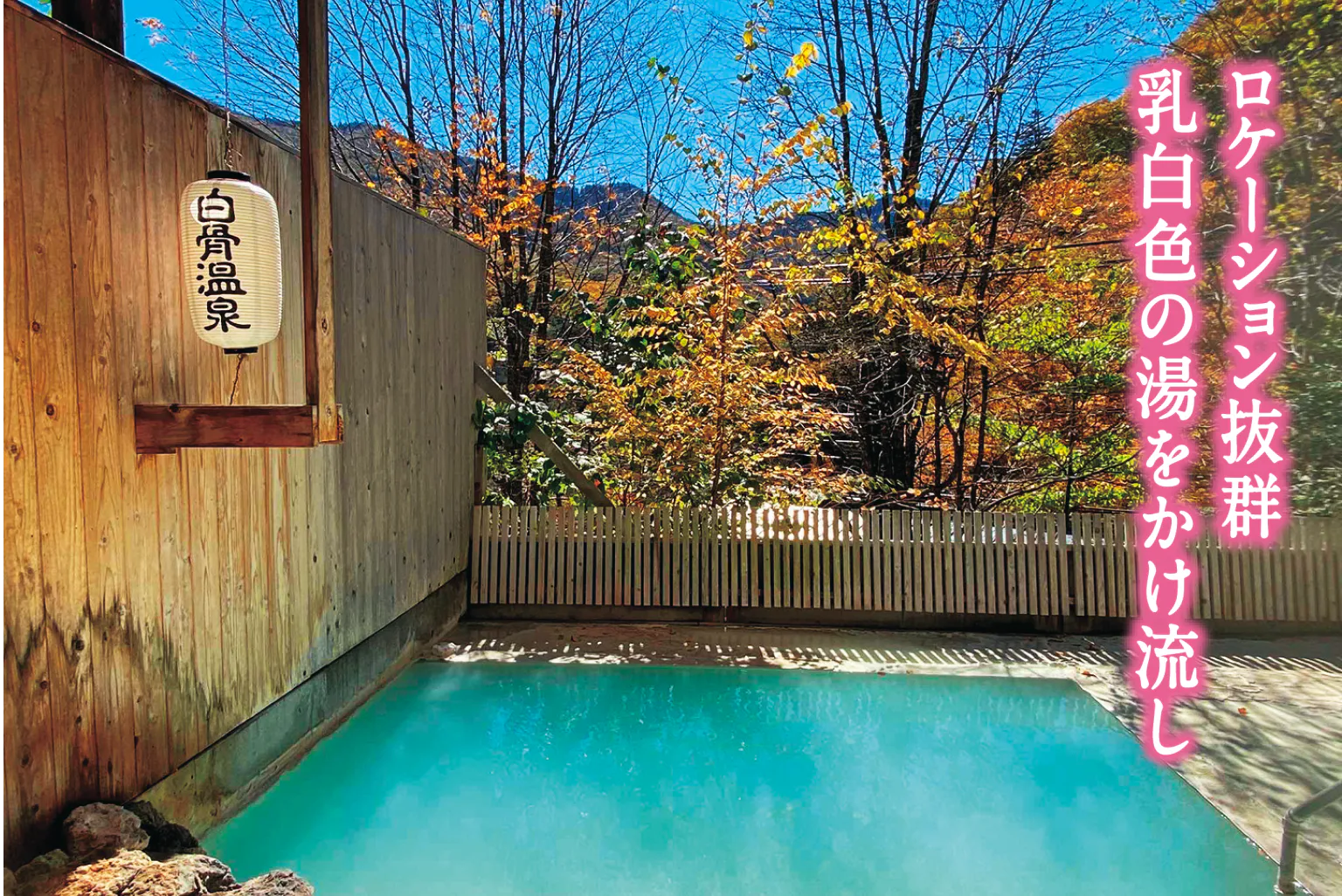 白骨ゑびすやの露天風呂の画像