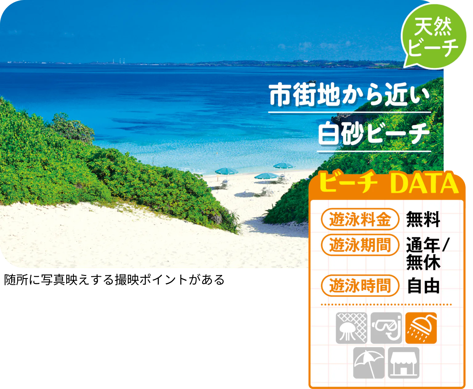 砂山の画像、遊泳料金などのビーチデータ画像