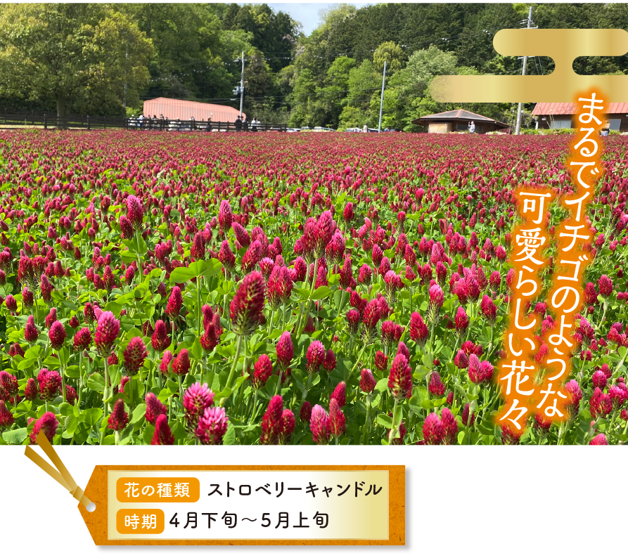 clover.178様 clover.178様 maxresdefault.jpg