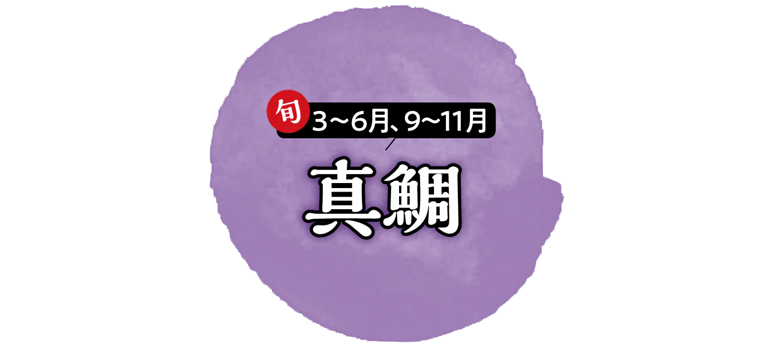 真鯛の見出し画像