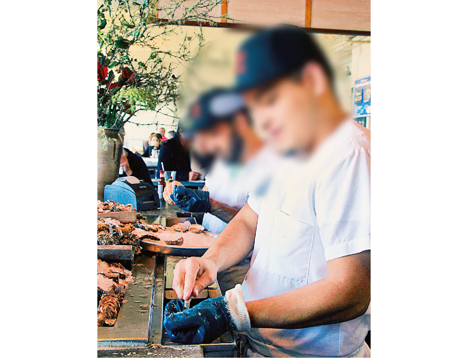 慣れた手つきでカキの殻をむくスタッフ