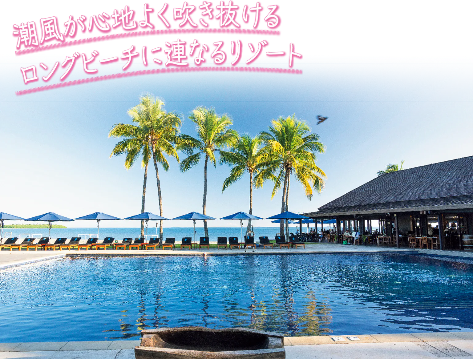 潮風が心地よく吹き抜けるロングビーチに連なるリゾートの画像