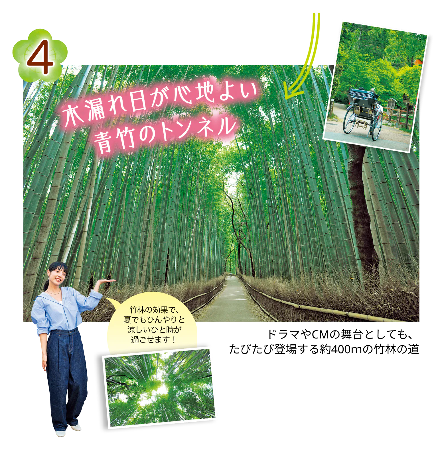 竹林の道の画像