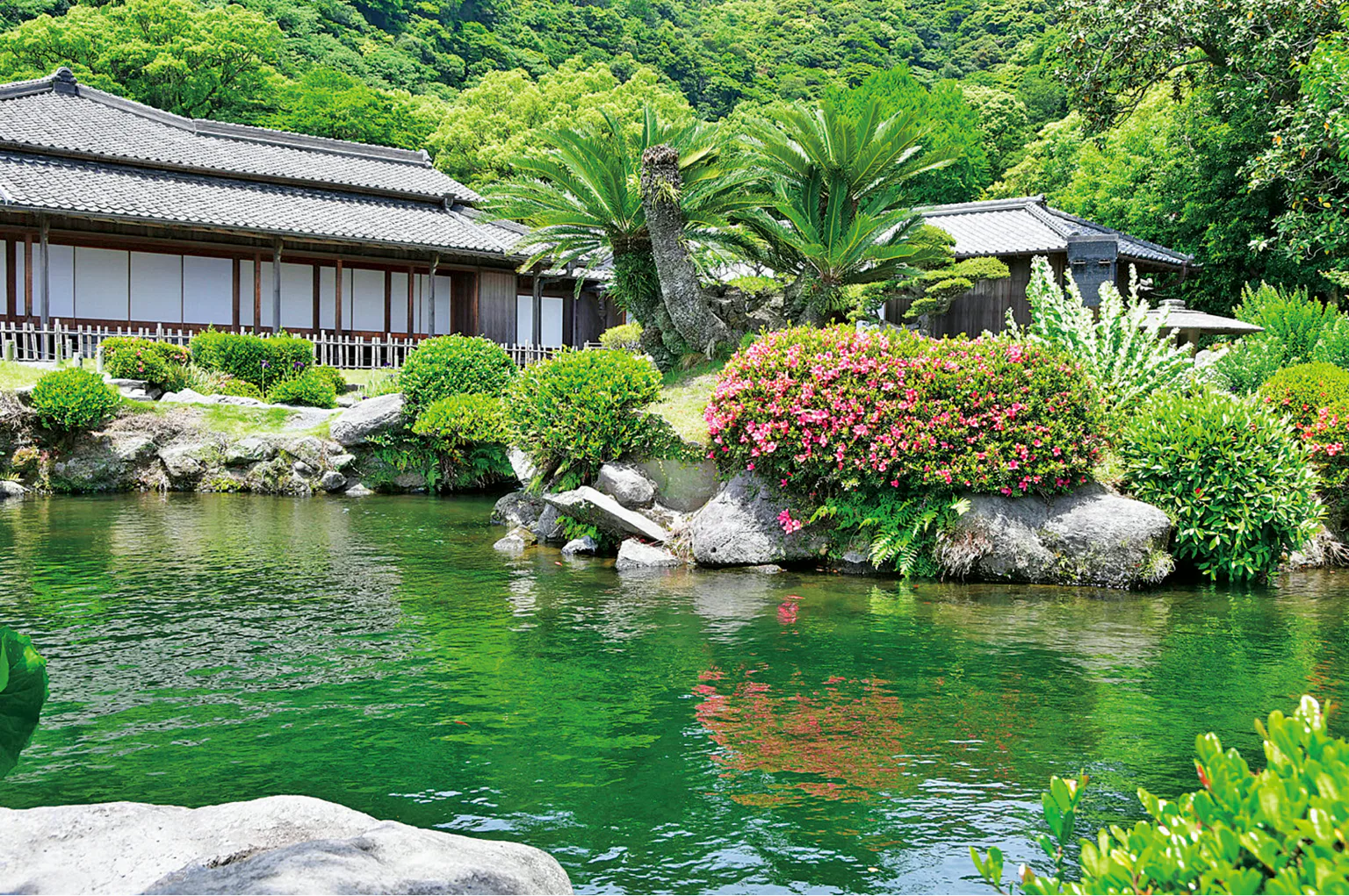 国指定名勝 仙巌園の画像