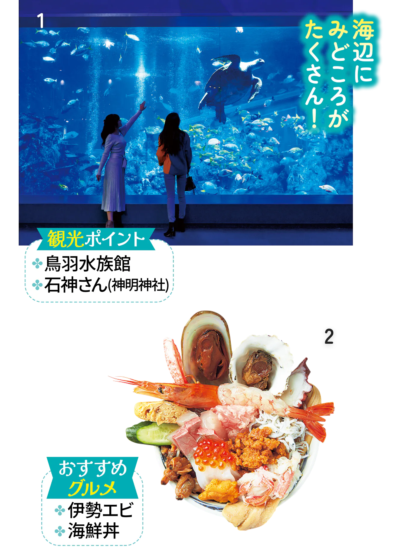 鳥羽の紹介画像