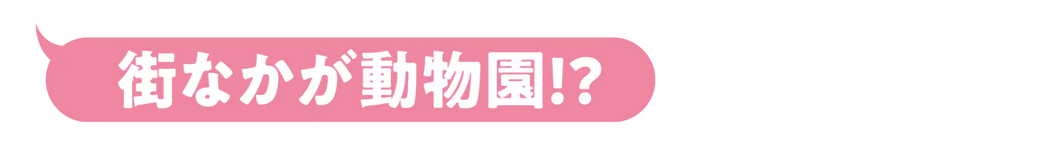 街なかが動物園！？の見出し