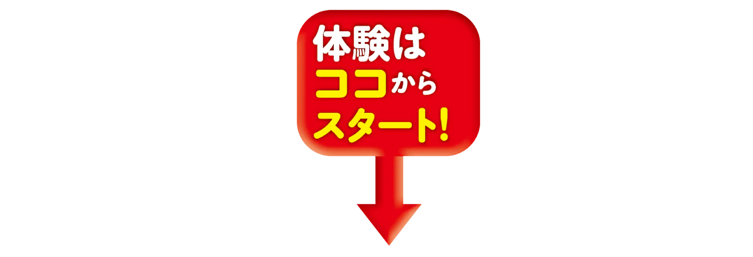体験はココからスタート!の画像