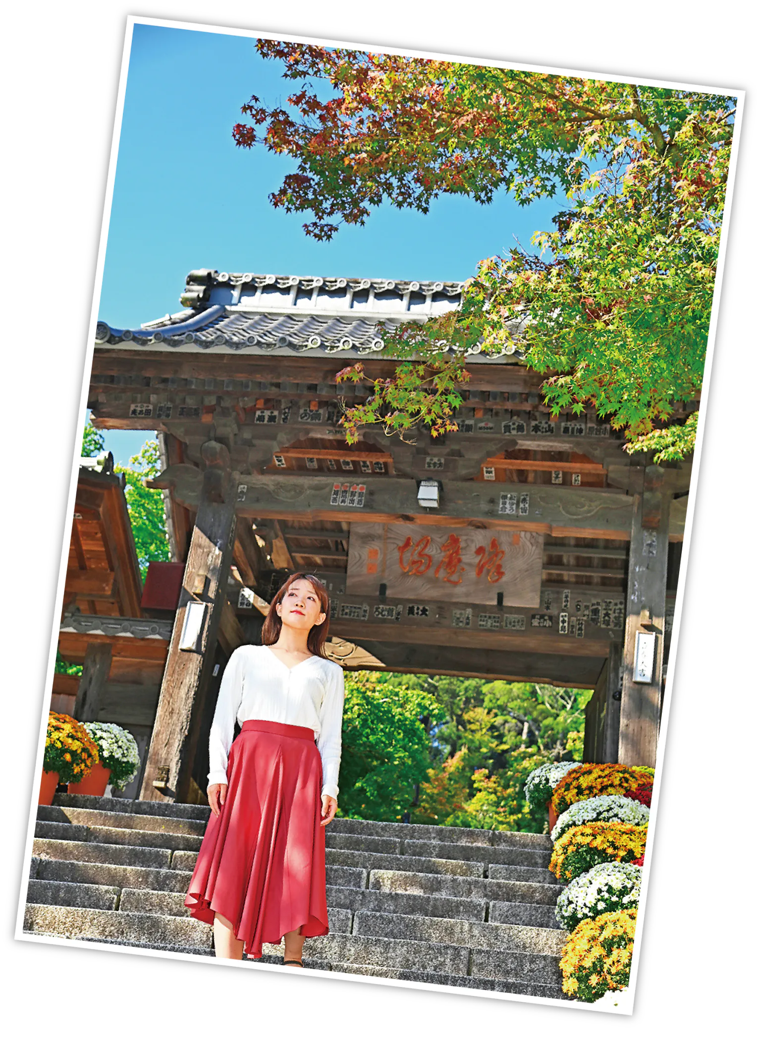 修禅寺の山門の画像