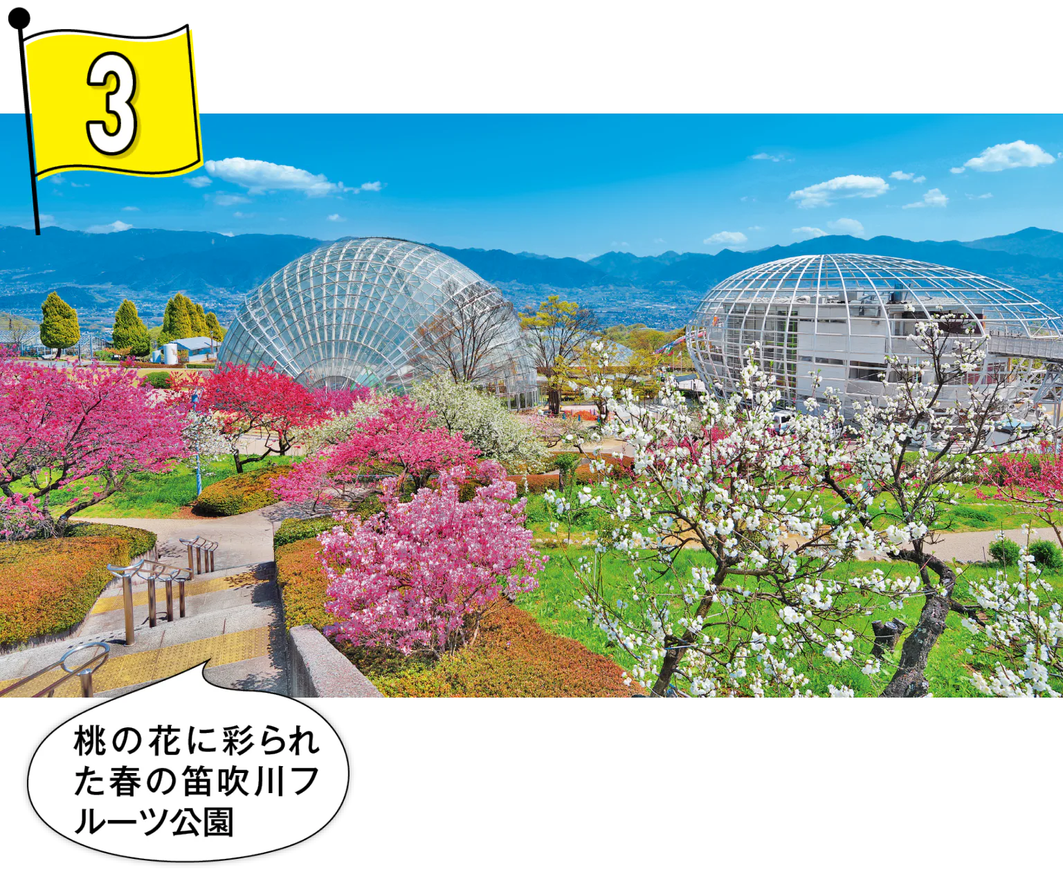 絶景とスイーツを楽しむ 山梨県 笛吹川フルーツ公園の画像