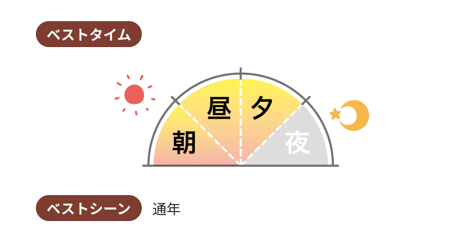 ベストタイムとベストシーン