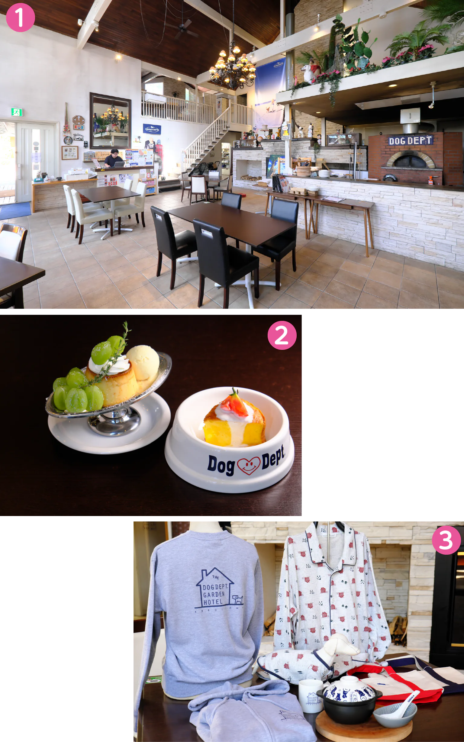 DOG DEPT GARDEN 軽井沢店の紹介画像