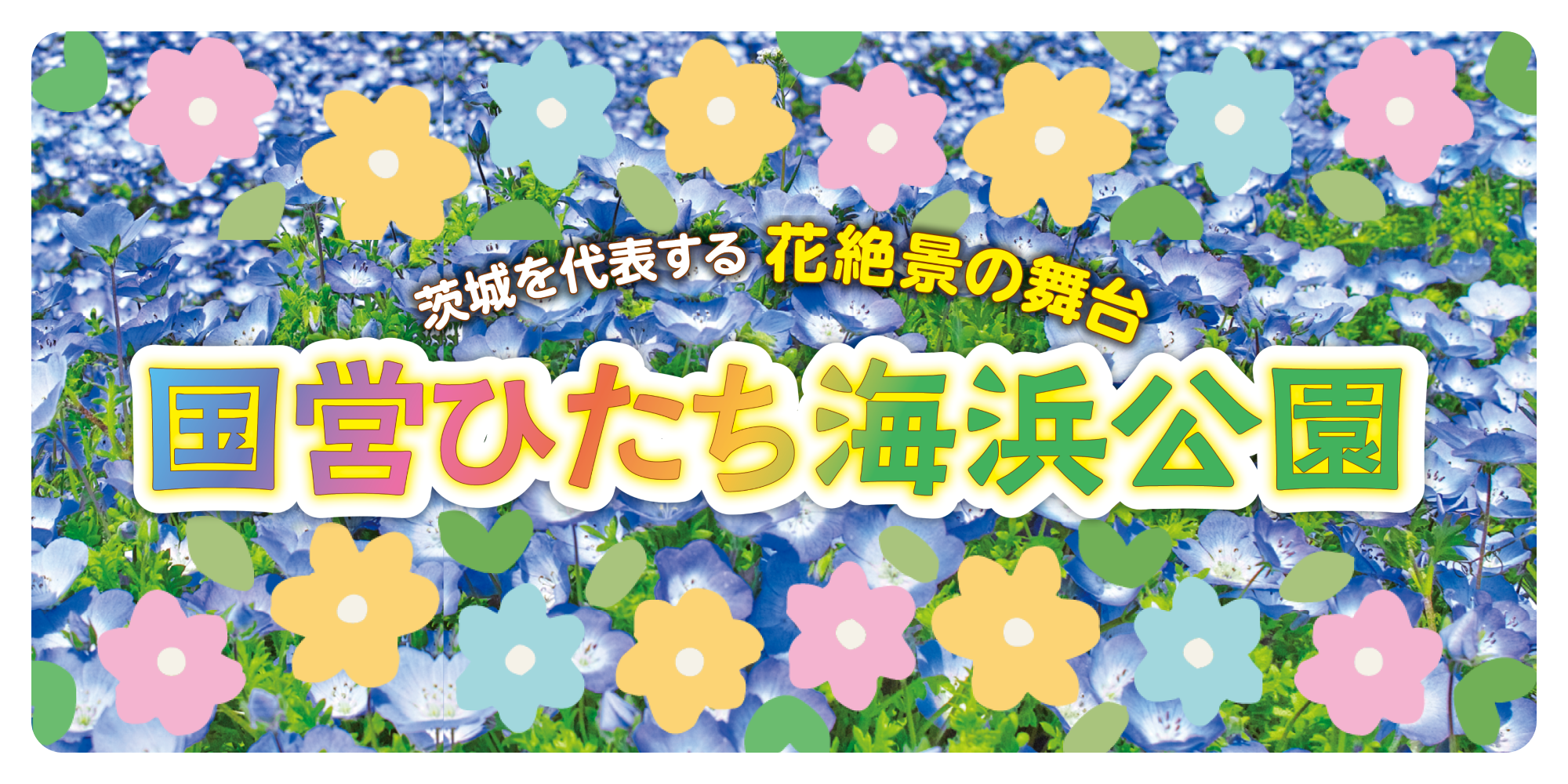 ふくちゃん様　　琉球*海花のたね ふくちゃん様 琉球*海花のたね