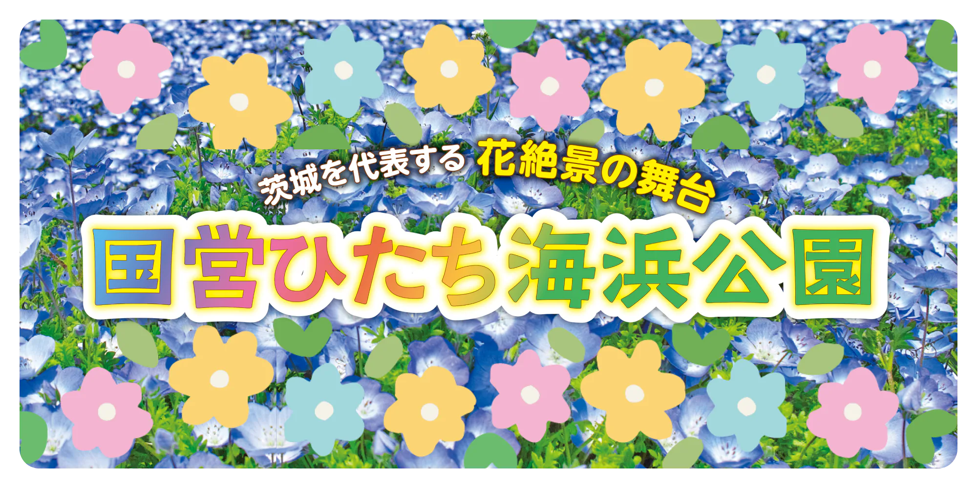 茨城を代表する花絶景の舞台　国営ひたち海浜公園