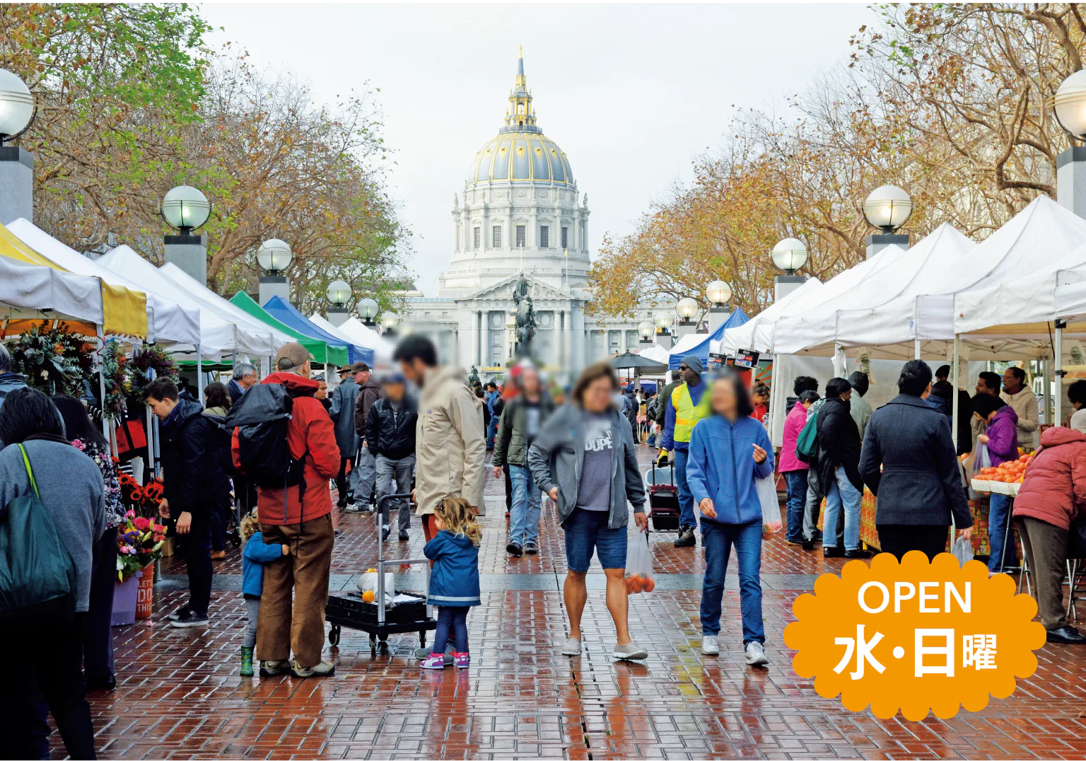 市庁舎前の広場が週2回マーケットに。花や果物など地元の人向けの商品が多い