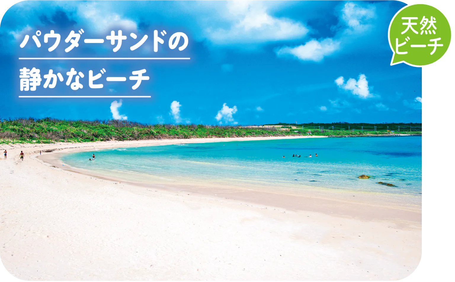 渡口の浜の画像