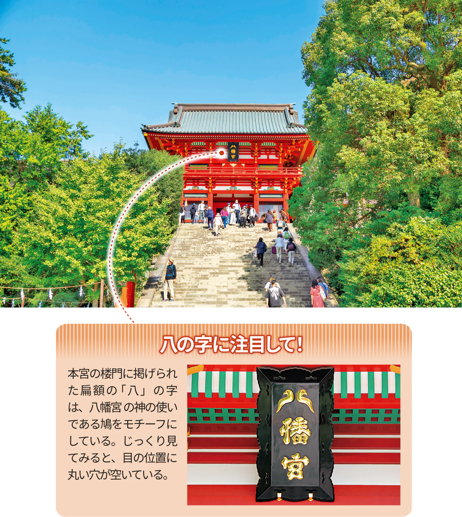 鶴岡八幡宮の紹介