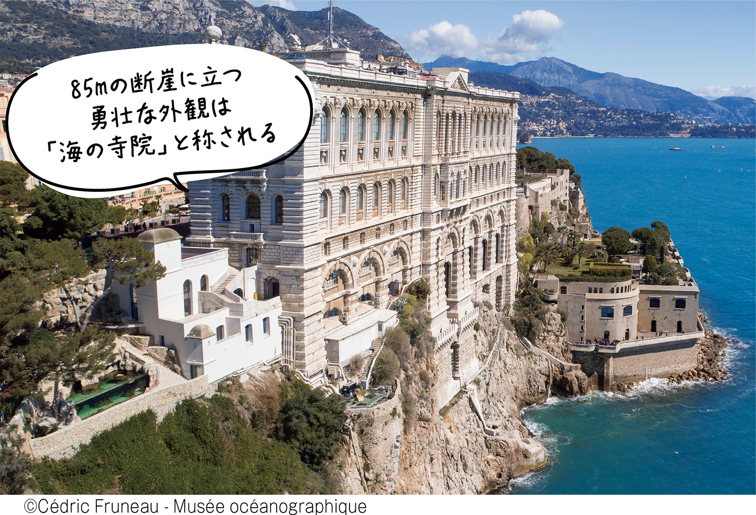 海洋博物館の画像