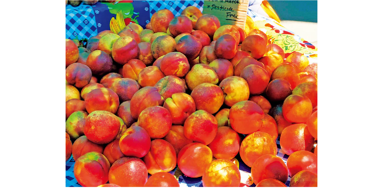 季節の果物も並ぶ