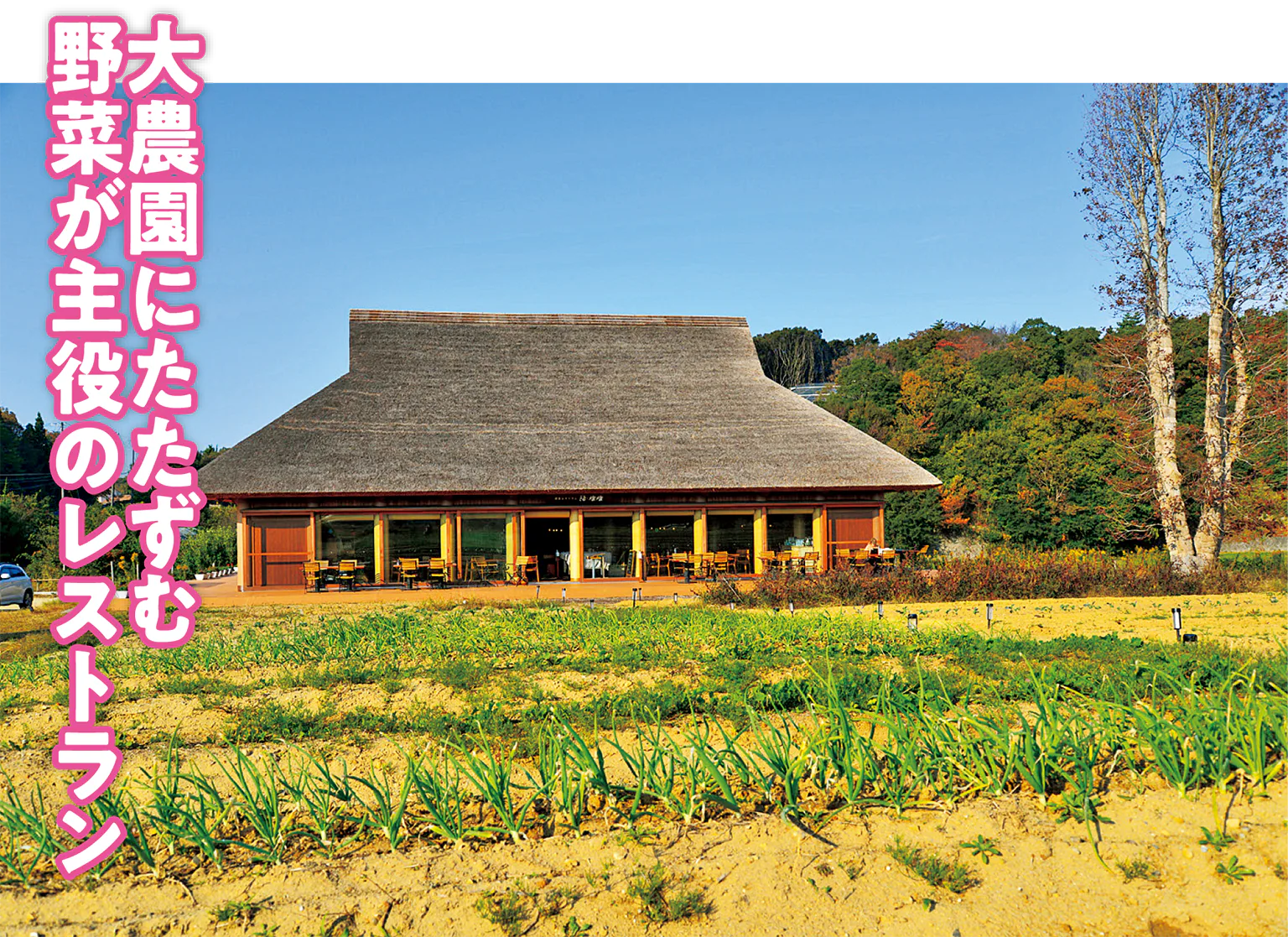 (画像)茅葺き屋根が自然と調和する建物は世界的建築家・坂茂氏の設計