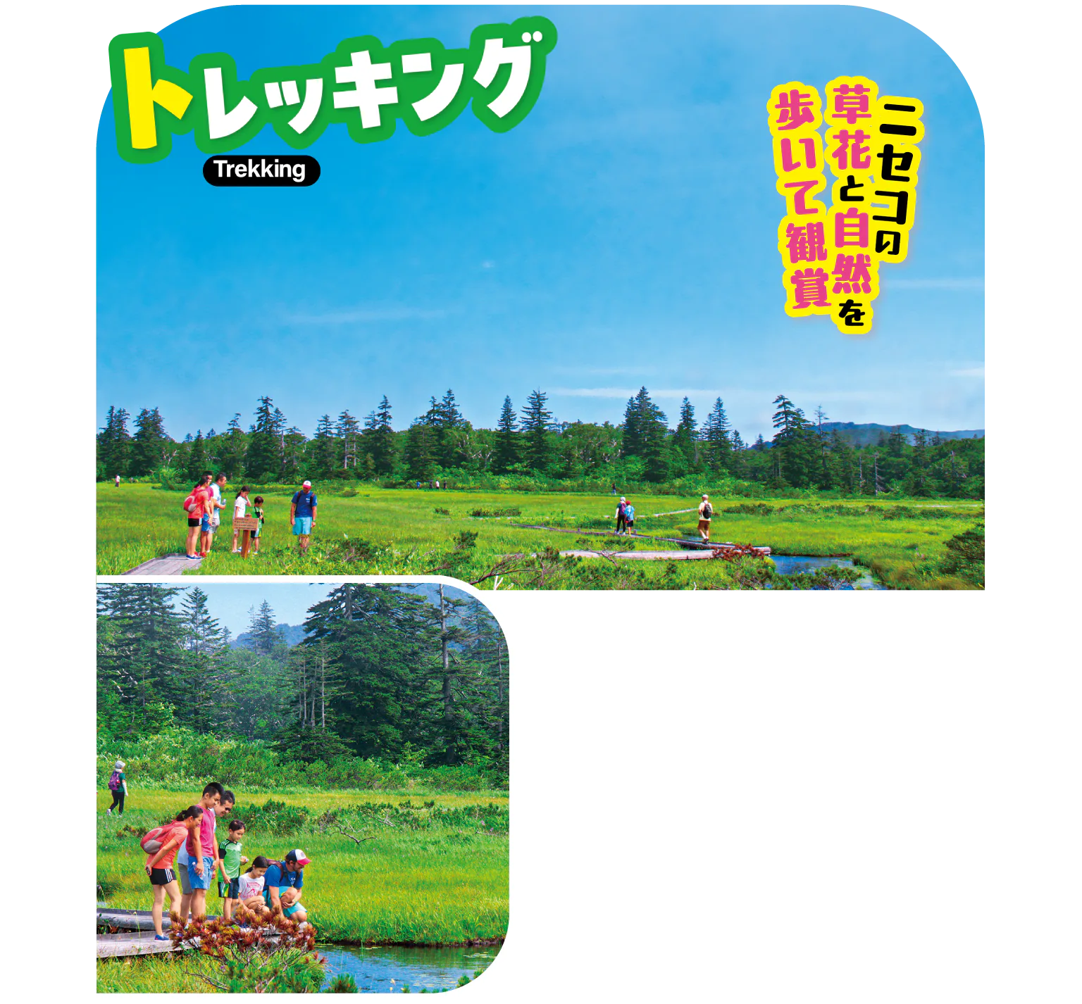 トレッキングの画像