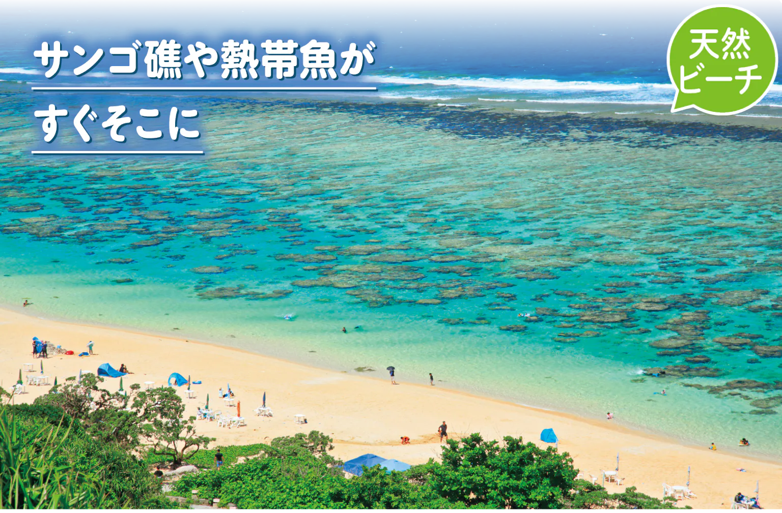 吉野海岸の画像