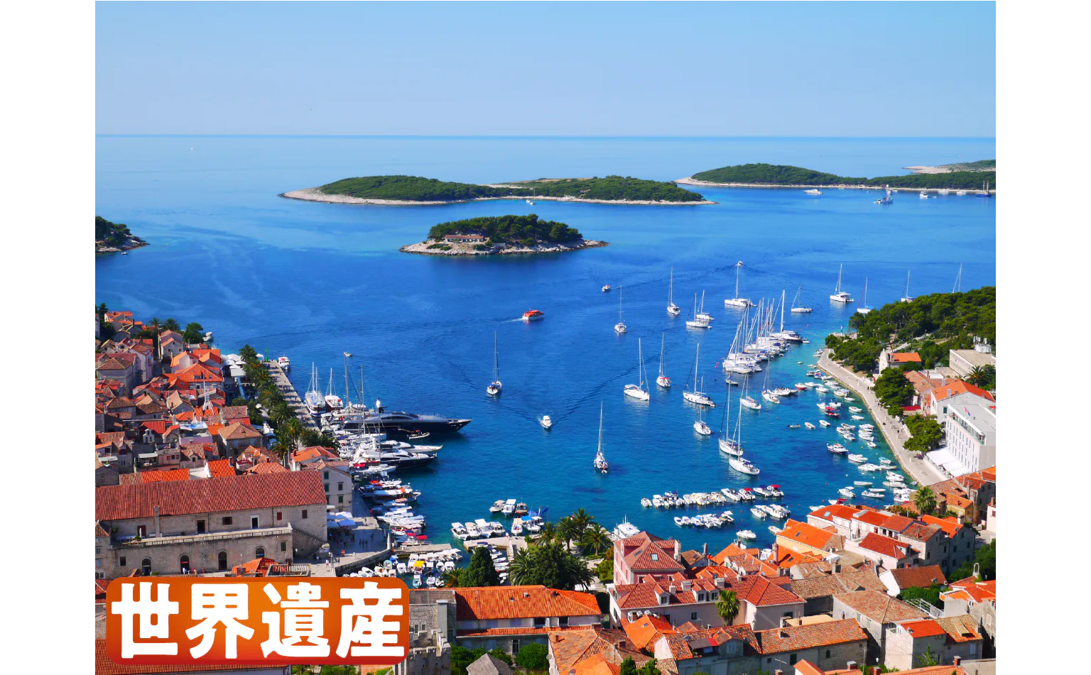 フヴァルの画像