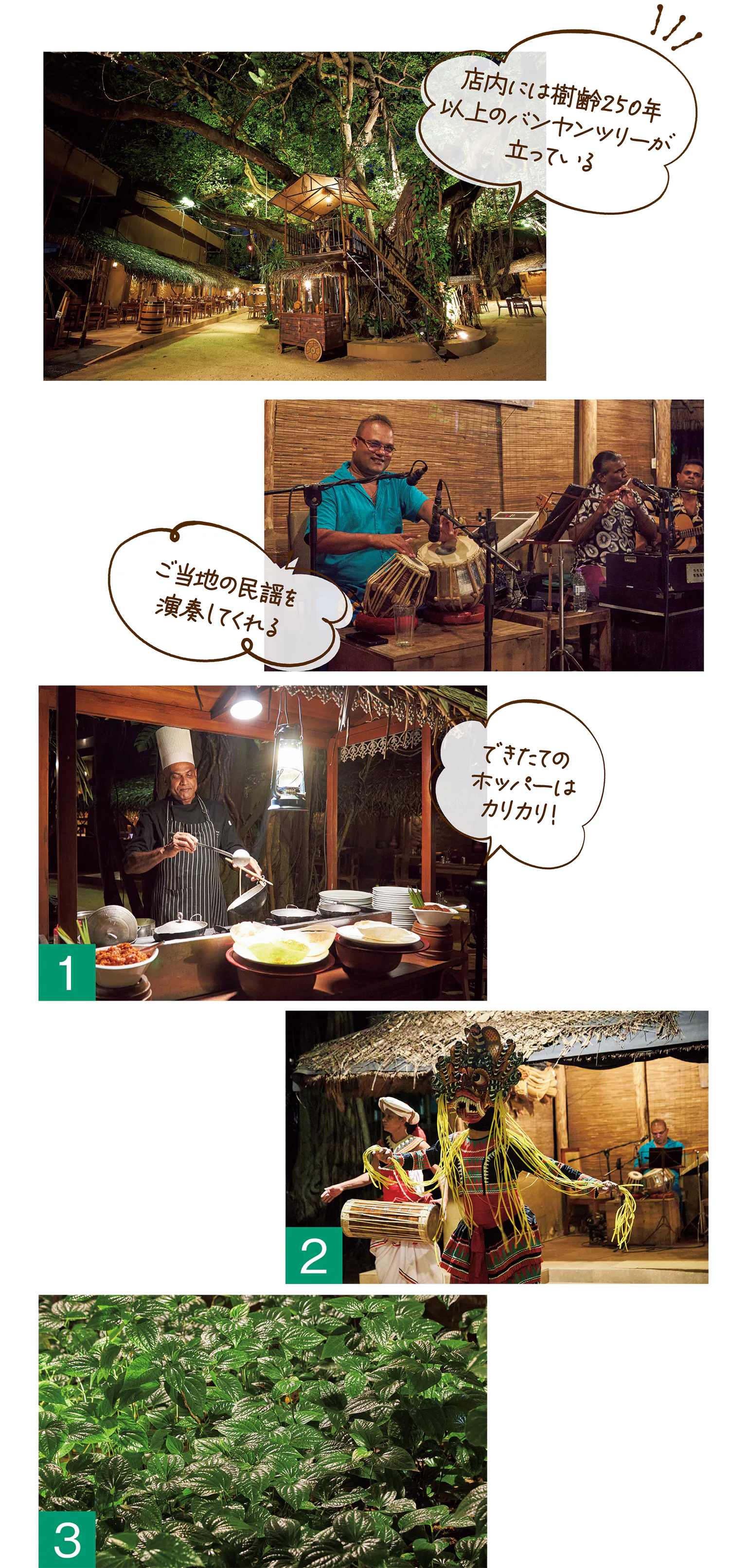 ヌガ・ガマの画像