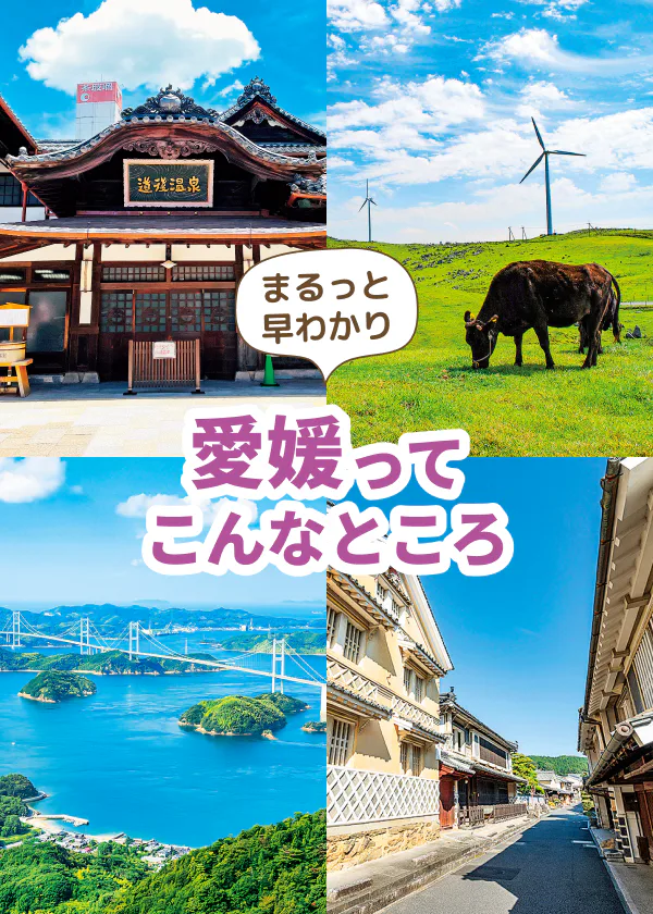【愛媛観光早わかり】グルメ・見どころ・温泉｜おみやげやおすすめ宿泊エリア情報も
