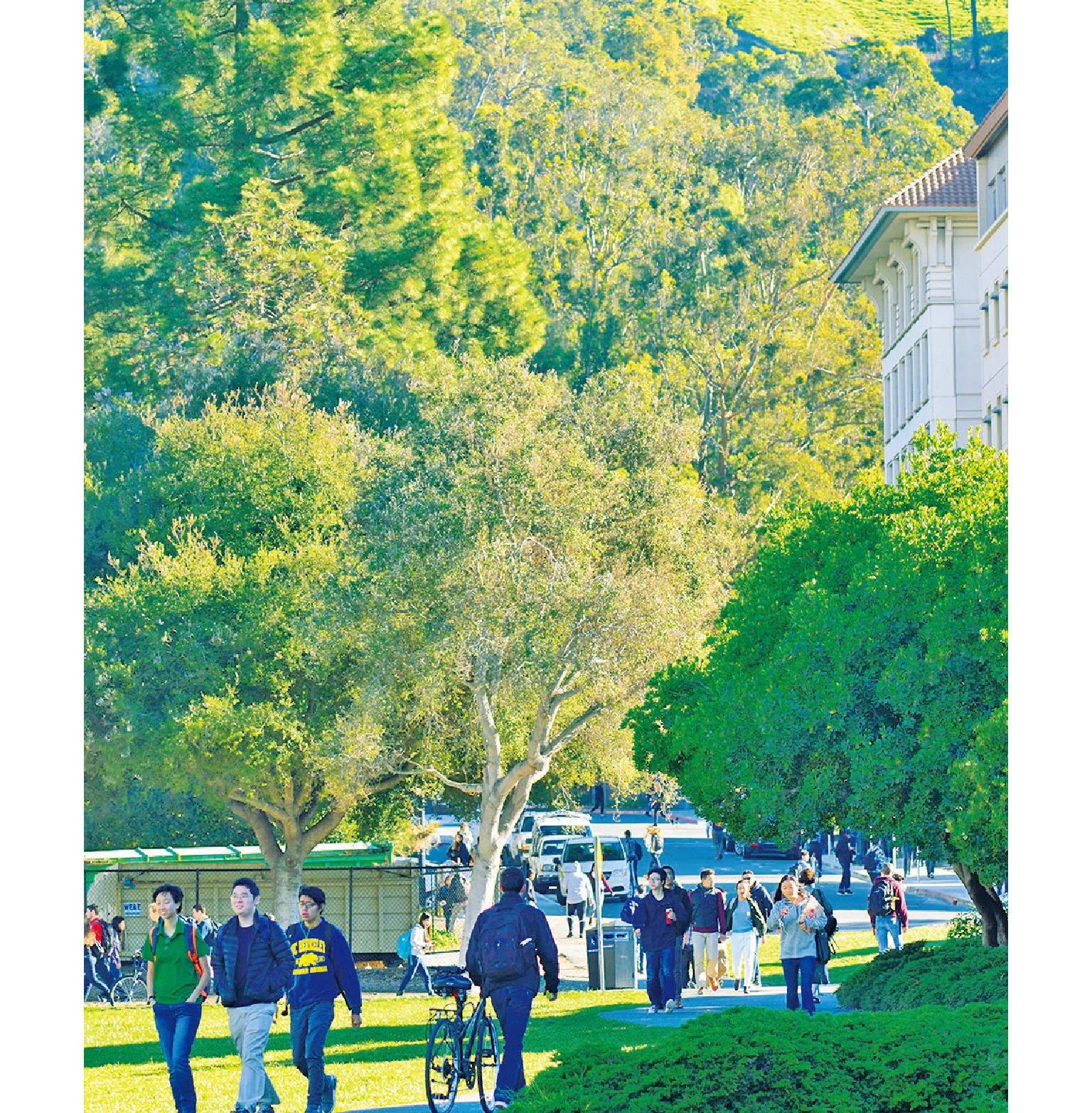 緑が多いキャンパスの芝生は学生の憩いの場。キャンパスは1200エーカーを超える広さ