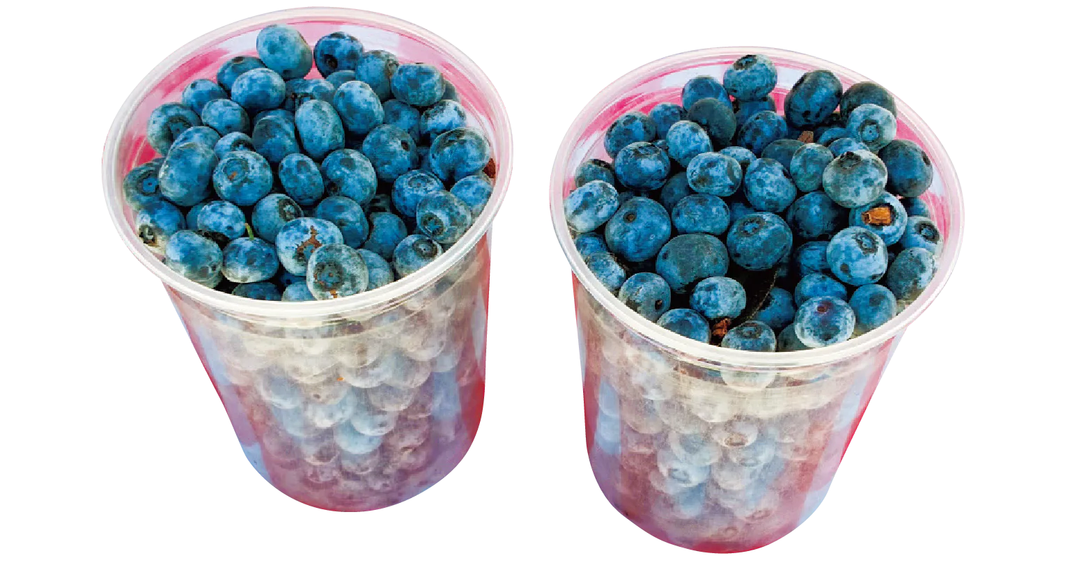 新鮮なブルーベリーは甘くて美味