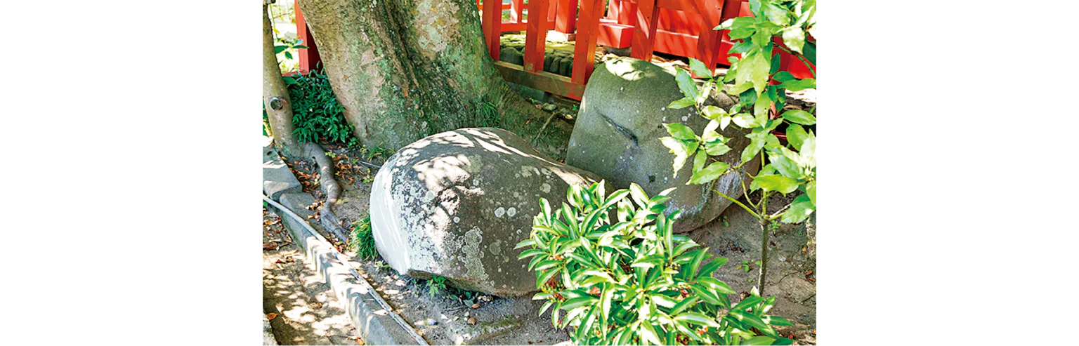 政子石の画像
