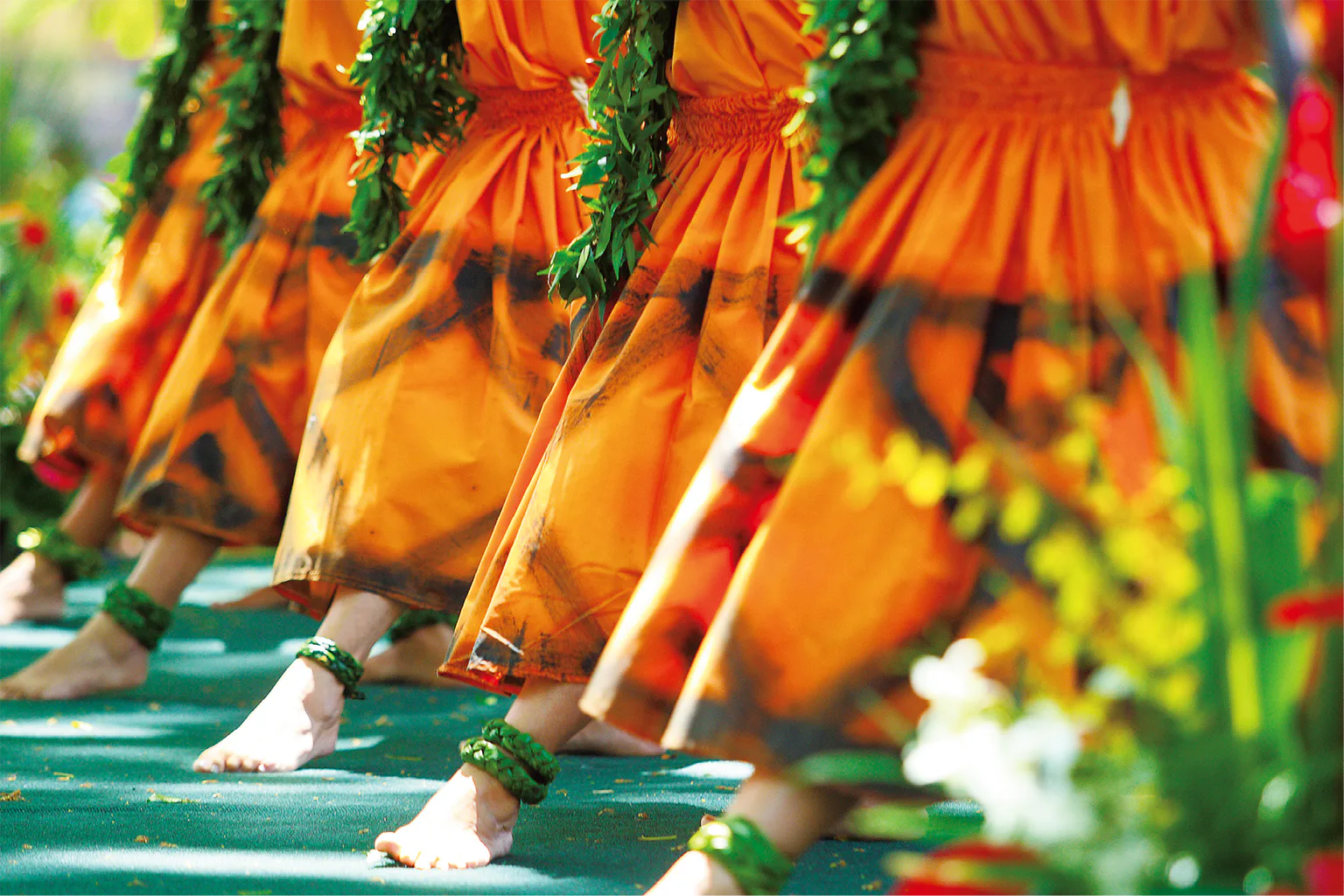 フラの歴史の画像