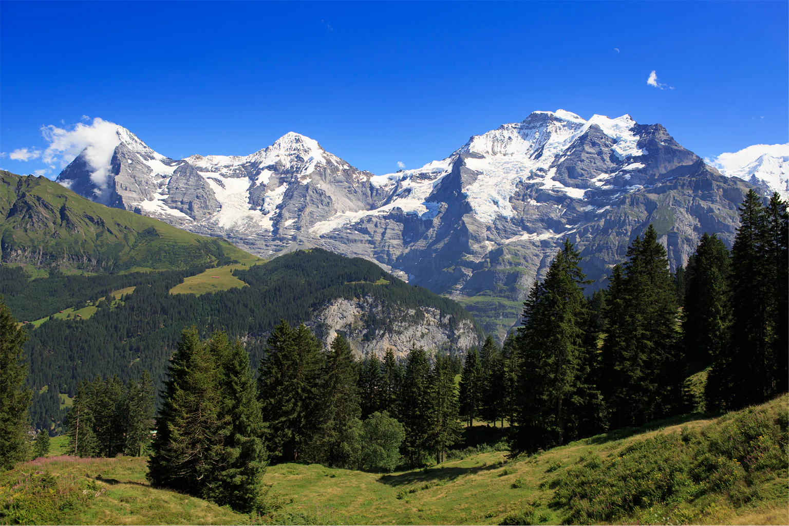 スイスアルプス ユングフラウーアレッチの画像