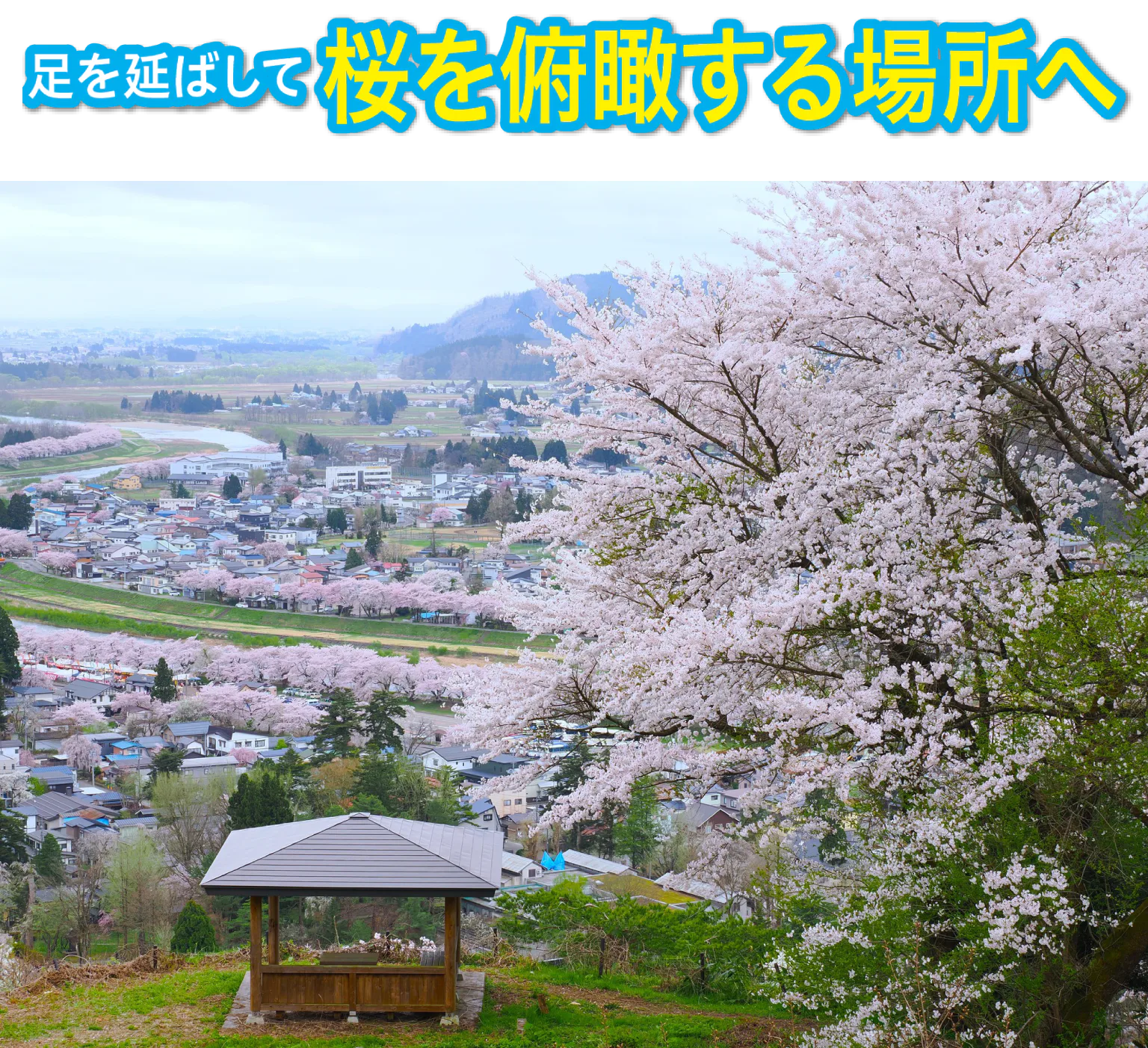 古城山(角館城址)の画像