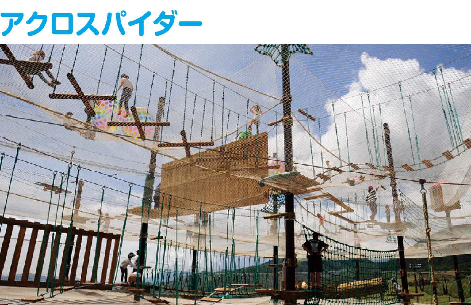 ASOBOTのアクロスパイダーの画像