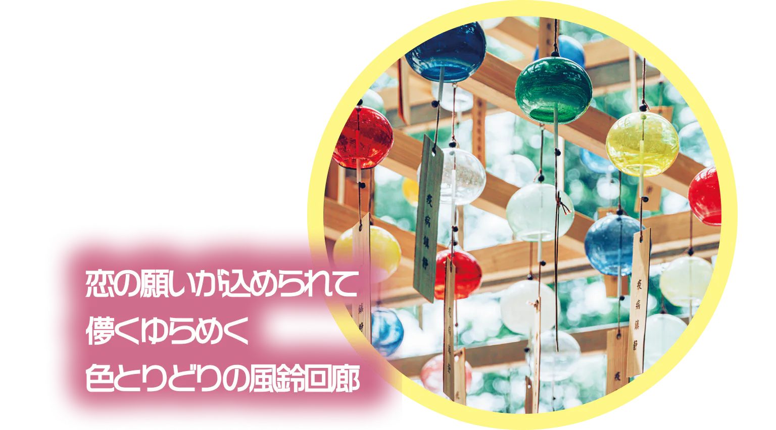川越　氷川神社の紹介画像