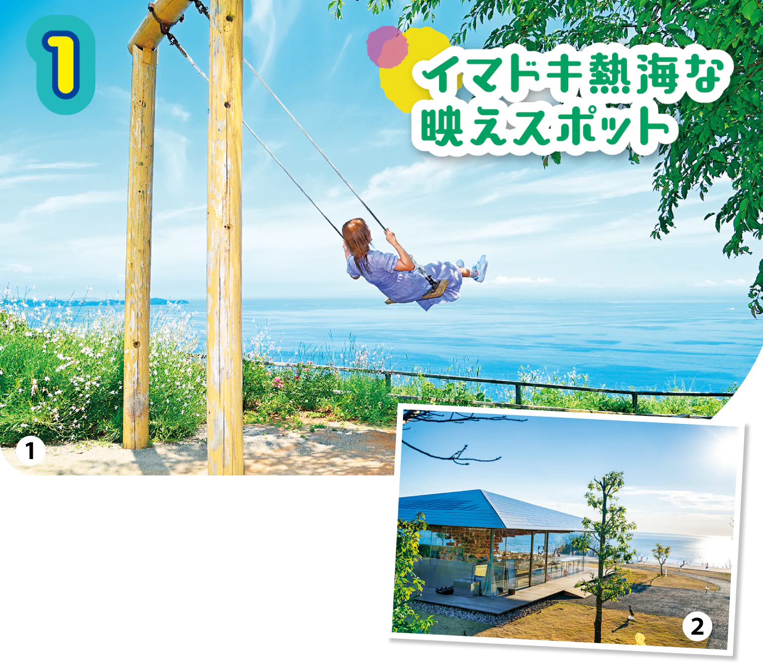 ACAO FORESTの画像