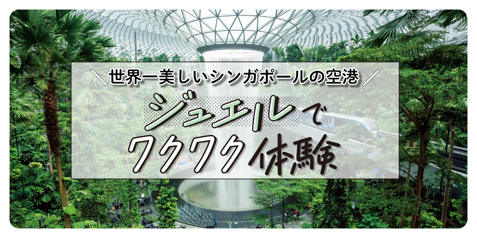 【シンガポール観光】ジュエルの楽しみ方｜おすすめのレストラン＆おみやげ、行き方からライトアップ情報までご紹介