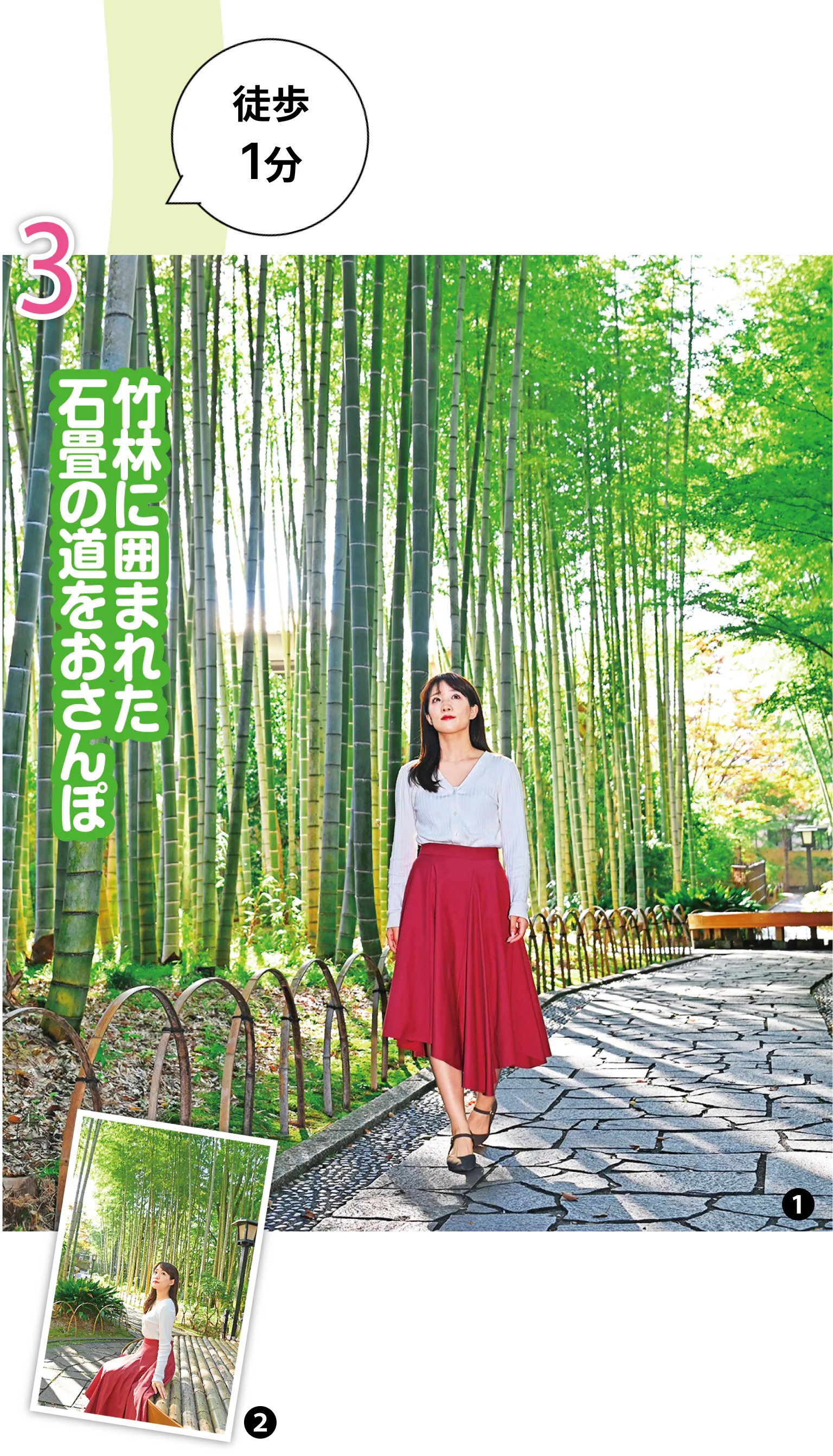 竹林に囲まれた石畳の道をおさんぽの画像