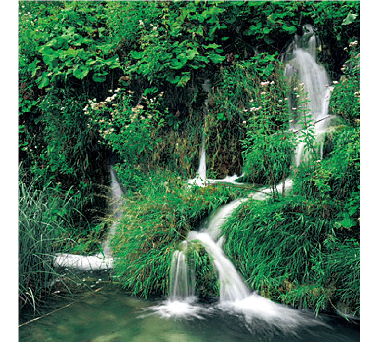 穴から吹き出す滝の画像